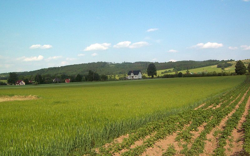 agrolajt.pl - Czy w 2020 zabraknie pracowników z Ukrainy? 