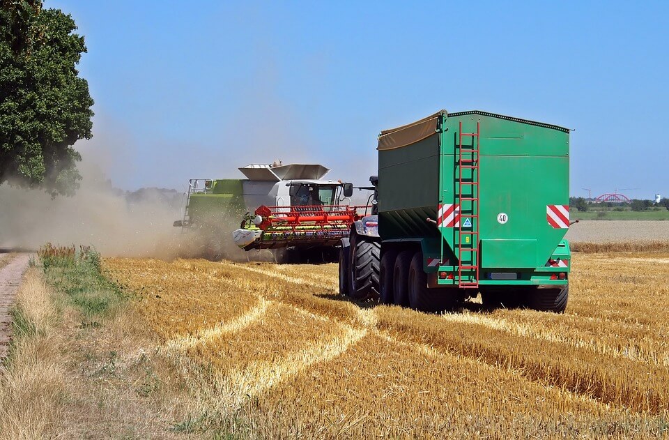 agrolajt.pl - Ile zboża sprowadzamy z Ukrainy? Jak je kontrolujemy? 