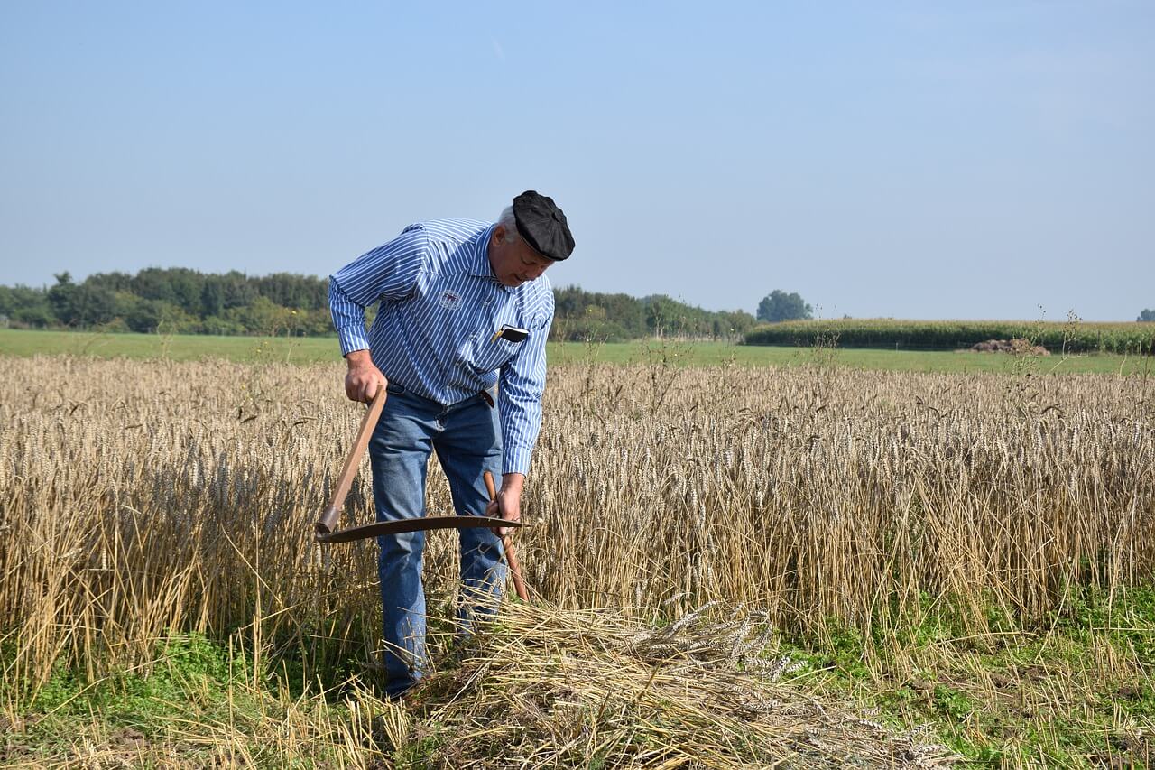 agrolajt.pl - Ponad milion rolników dostało propagandowy list od prezydenta. Skandal podczas zarazy!