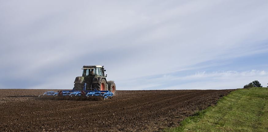 agrolajt.pl - 70% gospodarstw nie utrzymuje się z działalności rolniczej