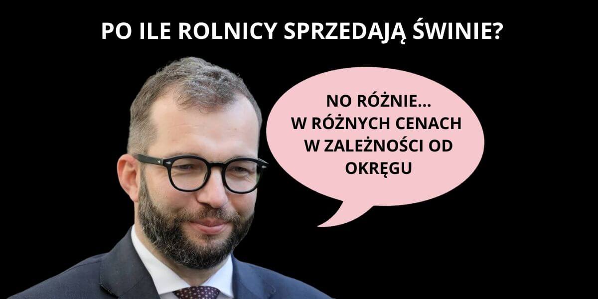 agrolajt.pl - Puda zapytany o cenę świń. “Minister jest oderwany od rzeczywistości”. 