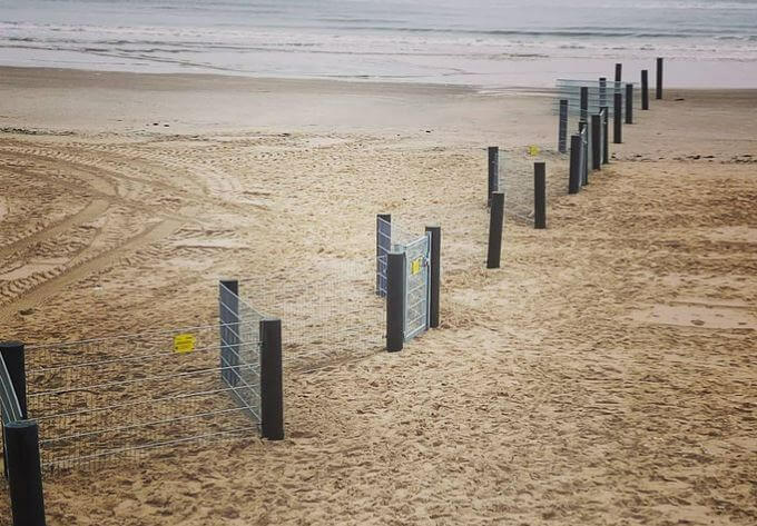 agrolajt.pl - Płot nawet na plaży. Niemcy nie powtarzają błędów sąsiadów 