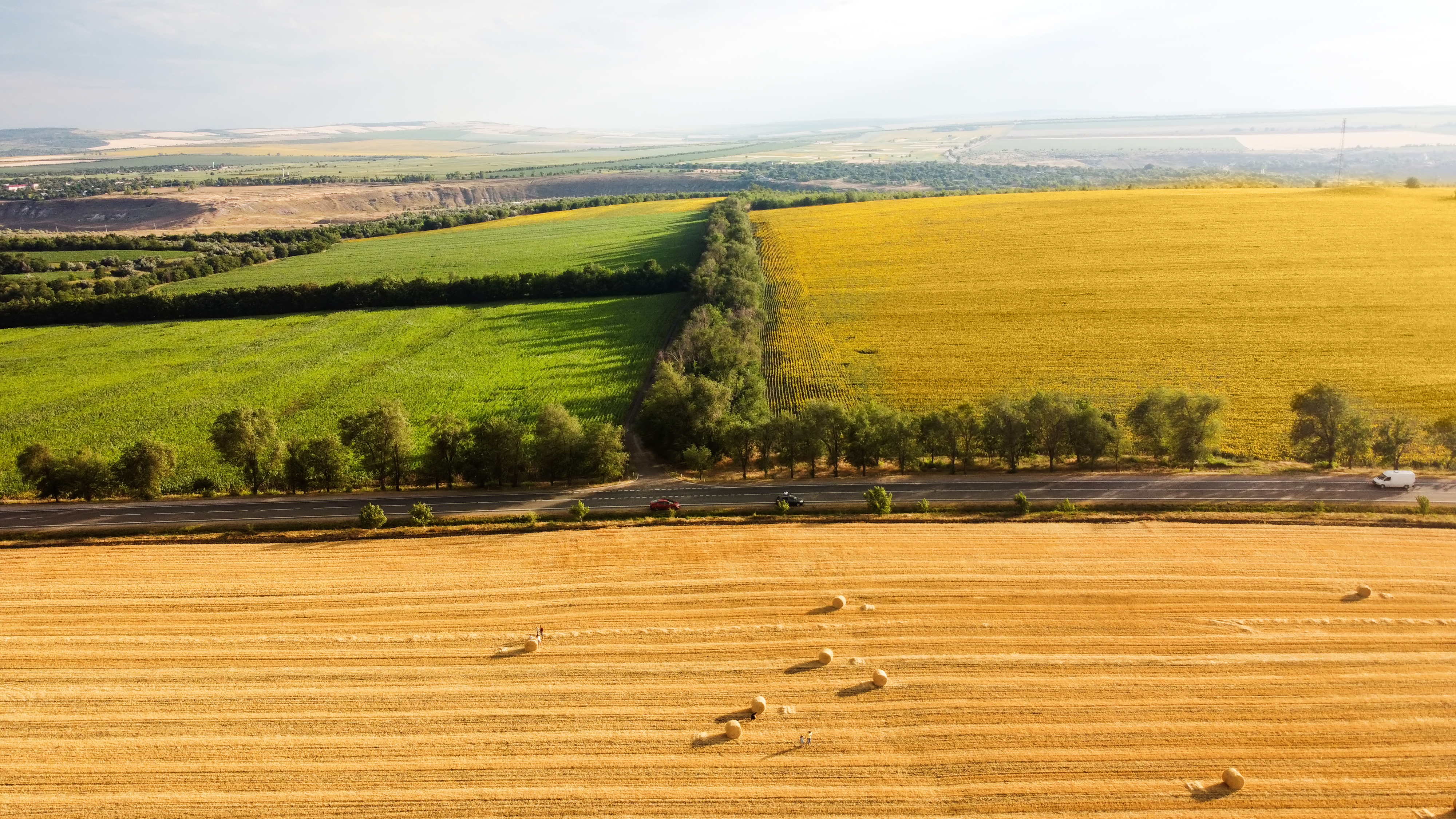 agrolajt.pl - Ukraina bije rekordy eksportu soi, Rosja traci na znaczeniu