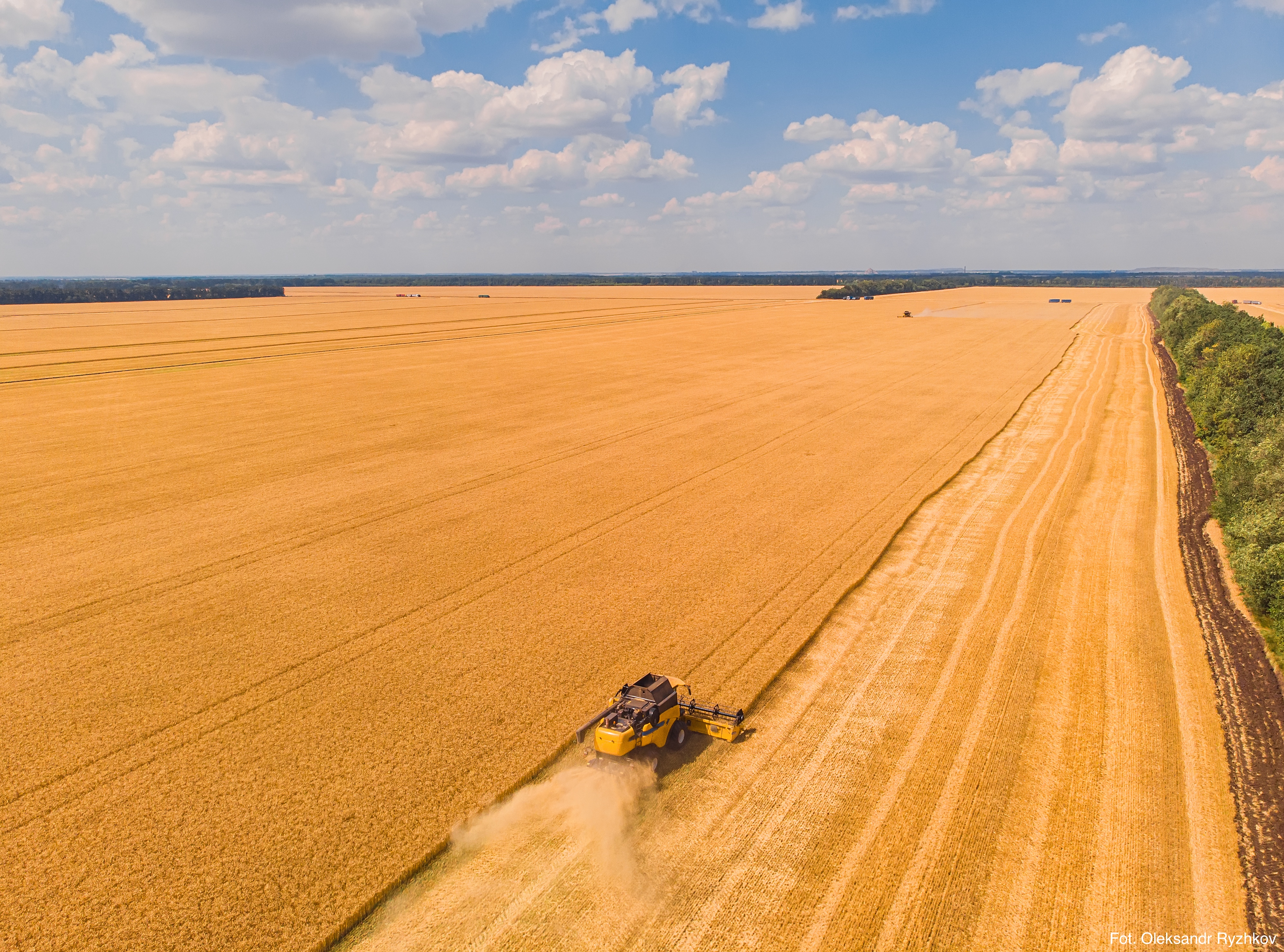 agrolajt.pl - Dynamiczny początek roku na rynku zbóż